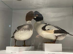 Bild 7_1xn3atql6yn1u.jpg